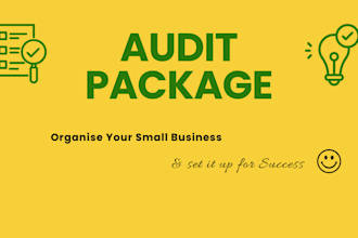 audit and bring order into your small business