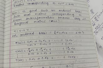be your expert tutor for mathematics linear algebra and statistics