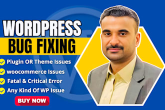 fix wordpress bugs and errors