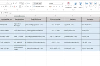 do professional data entry and web research in excel