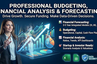 do financial forecasting, budgeting, and financial analysis for your business