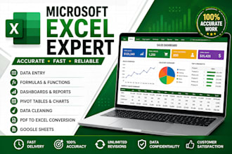 do professional microsoft excel, data entry, formulas and dashboards