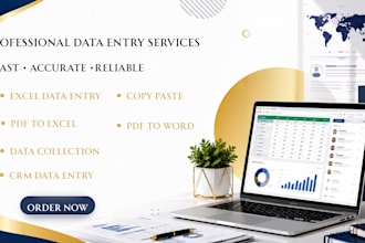 accurate data entry web research data mining and lead generation in googel sheet