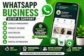 assist with whatsapp business setup catalog updates and support