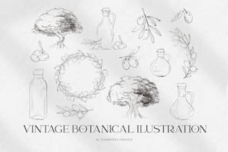 draw vintage botanical illustrations