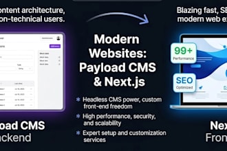 build a custom website or cms using payload cms and nextjs