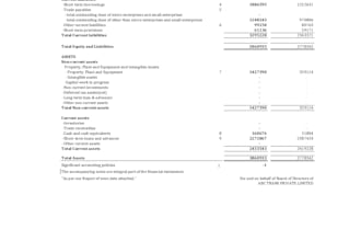 provide virtual cfo service mis, gst, income tax, banking and budgeting