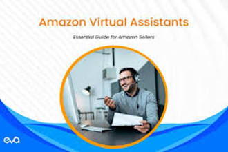 work as a human e commerce assistant