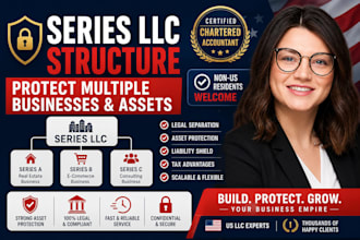 create series llc structure for multiple businesses and assets