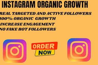 grow instagram followers promotion and organic growth