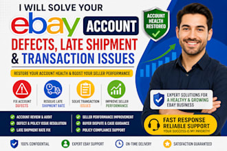 solve your ebay account defects late shipment rate and transaction issues