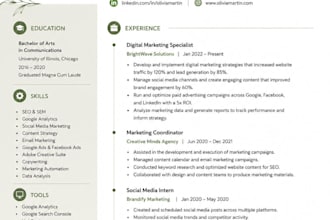 write a professional CV