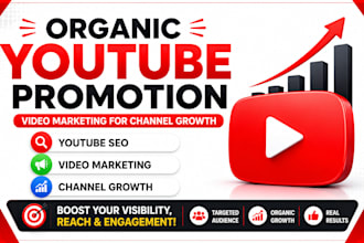 do youtube SEO and video marketing to improve channel visibility, organic growth