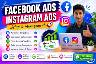 setup and manage facebook and instagram ads