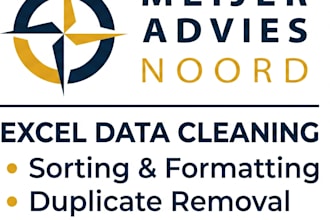do professional data cleansing, sorting, and formatting in excel