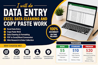 professional data entry and excel spreadsheet work