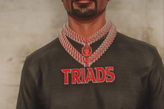 create custom fivem scripts , clothing, debadge cars, chains