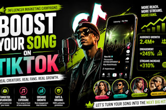 do tiktok music promotion with influencer marketing campaigns
