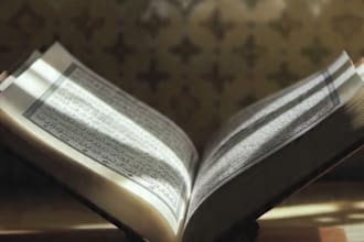 teach you quran tajweed rules to females and online