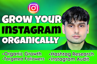 grow instagram organically and provide instagram promotion