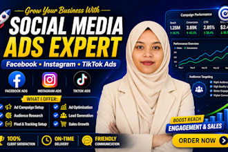 provide facebook, instagram, you tube campaign for you