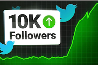 professionally promote, manage and grow your twitter page organically