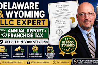 do delaware wyoming llc annual report