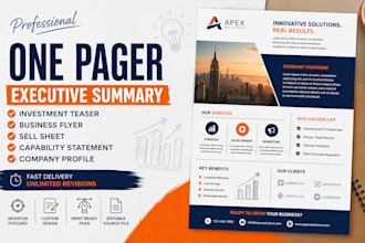 design an executive summary one pager investment teaser business flyer pitch