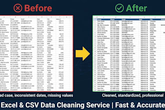 clean and convert your excel, CSV or PDF data professionally