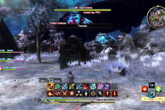 setup and develop custom mmorpg private servers with website
