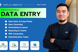 perform data entry, data cleaning and excel reporting