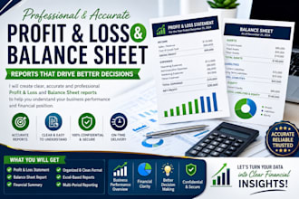 create profit and loss and balance sheet reports