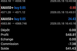 setup and optimize a forex trading robot, forex ea, and trading bot