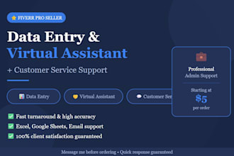 handle data entry, VA tasks, and customer support