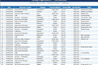 organize receipts into a clean categorized excel spreadsheet