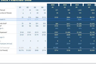 startup financial modeling, 5 years projection, pro forma statements