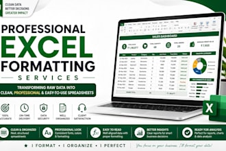 clean, format and organize excel spreadsheets