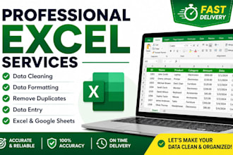 clean, format and organize excel spreadsheets