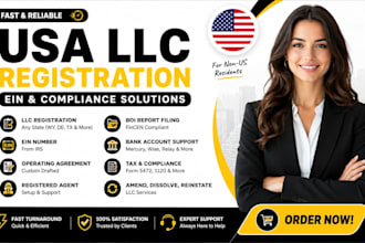 do US llc registration, USA llc, wyoming llc, new mexico llc, business formation