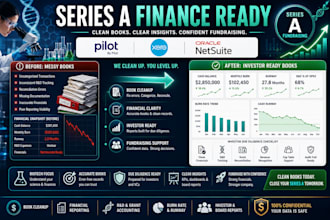 clean up biotech books using pilot, xero or netsuite for series a fundraising