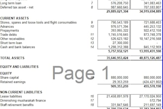 do professional bookkeeping, financial auditing, and payroll management