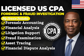 do forensic accounting, fraud investigation, asset tracing, litigation support