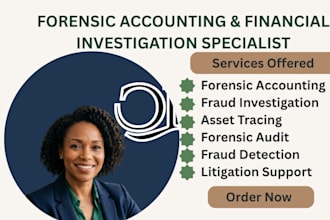 provide forensic accounting, fraud investigation, and asset tracing services