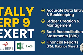 your tally erp 9 accountant and data entry expert