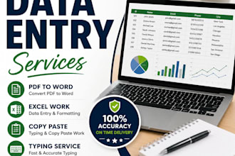 do entry ,typing ,pdf to word and excel work