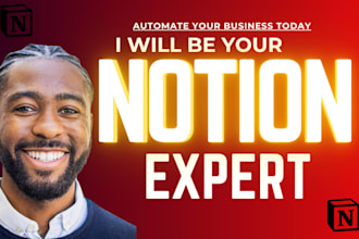 be your notion expert for notion dashboard notion template and notion website