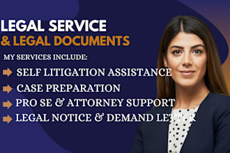 be your lawyer in pro se case, paralegal, lawyer, litigation lawyer