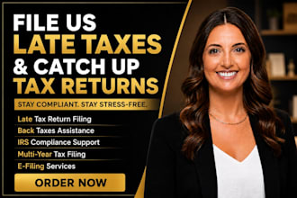 help file US late back taxes and catch up tax returns and stay compliant