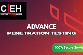 perform advance penetration testing