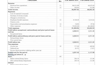 set up accounting systems and provide ongoing expert bookkeeping support